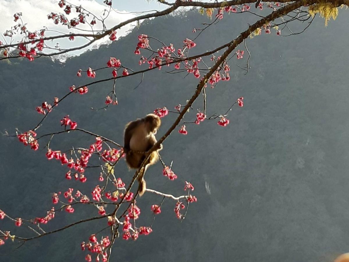 慢水山丘民宿 Slow Water Hill Yuemei ภายนอก รูปภาพ
