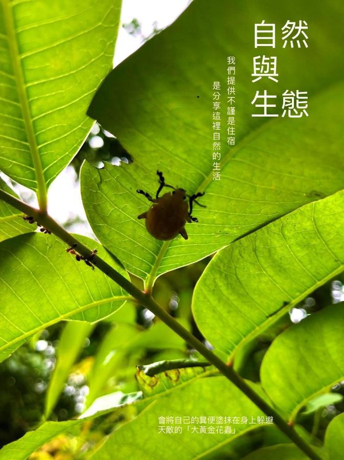 慢水山丘民宿 Slow Water Hill Yuemei ภายนอก รูปภาพ